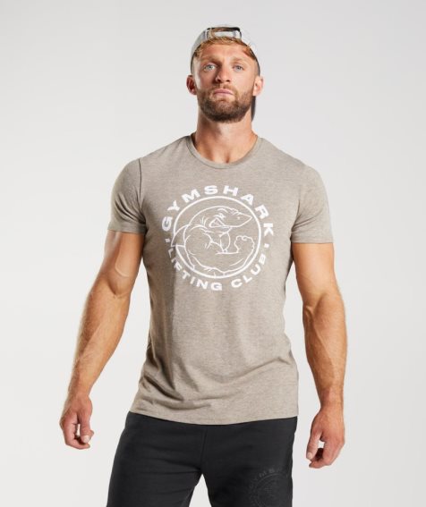 Men's Gymshark Legacy T-Shirts Grey | NZ 0ESVTN